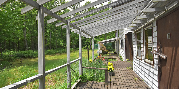 庭を望む気持ちいいデッキ