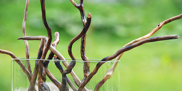 エレクトロフォーミング