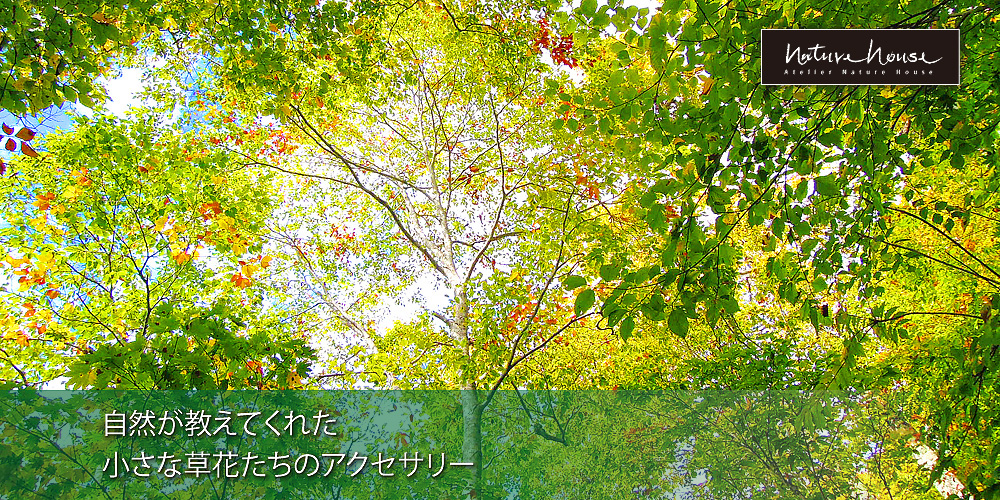 Silver Jewelry シルバージュエリー